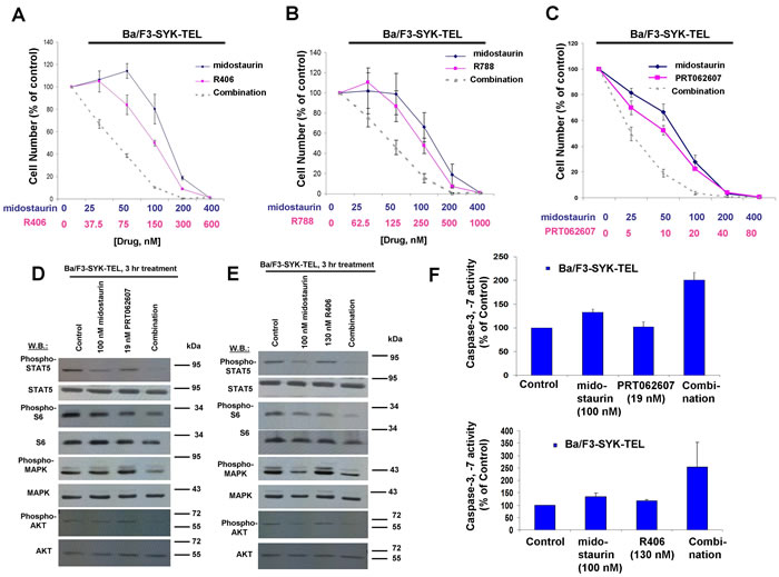 Potentiation of effects of midostaurin against Ba/F3-SYK-TEL cells by R406, R788, and PRT062607.