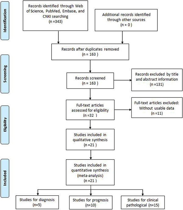 Flow diagram of the literature search and selection.