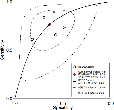 The pooled receiver operating characteristic (SROC) curve based on GAS5.