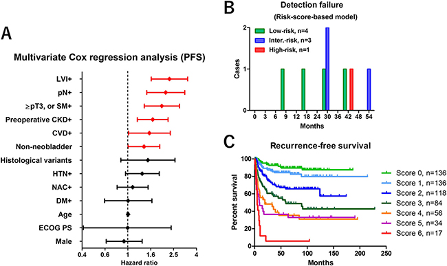 Risk factors selection and the impact of risk-scores on prognosis.