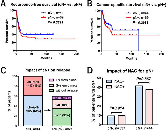 The impact of lymph node positive (cN+ or pN+) on prognosis.