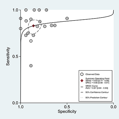 The SROC of the accuracy of anti-MDA5 antibody in the diagnosis of RPILD in DM patients.