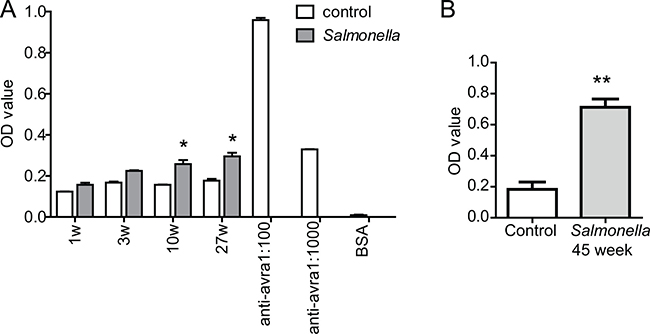 Elisa measurement of anti-AvrA protein in mouse serum.