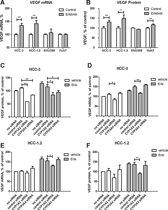 Impact of erlotinib on VEGF formation in HCC cells.