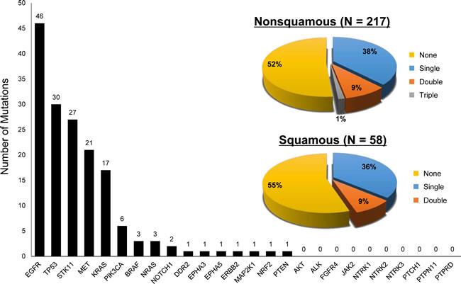 Analysis of somatic gene mutations in FFPE specimens from advanced NSCLC patients.