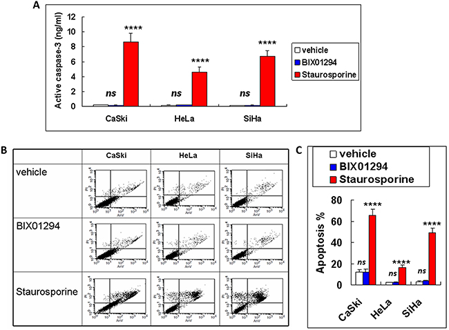 Apoptotic effect of BIX01294 on cervical cancer cells.