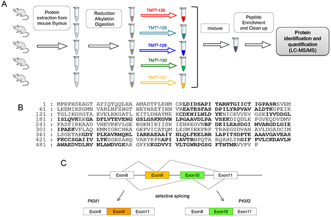 Figure 2: