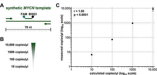 Droplet digital PCR maintains linearity over a broad copy number range.