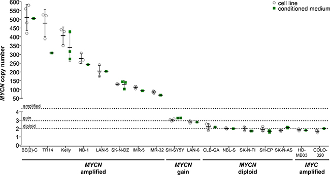 Comparison of absolute MYCN copy numbers determined by ddPCR for neuroblastoma cell lines.
