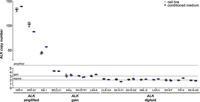 Comparison of absolute ALK copy numbers determined by ddPCR for neuroblastoma cell lines.