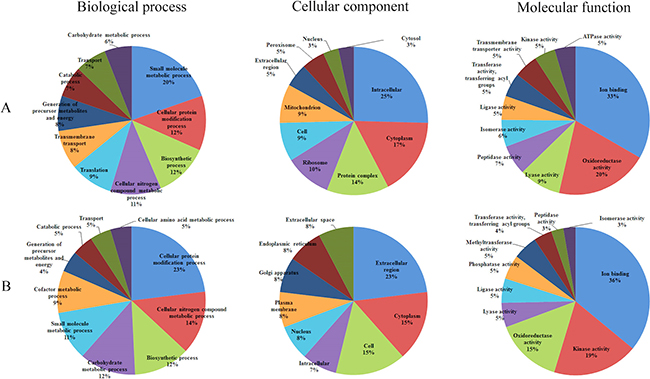 Gene Ontology (GO) distribution of the differentially expressed proteins (DEPs).