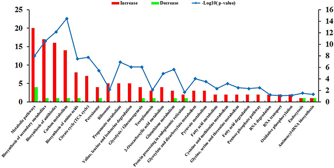 KEGG pathway analysis of the differentially expressed proteins (DEPs).