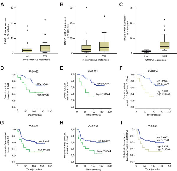 Fig 5: RAGE expression in primary colorectal tumors correlates with patient survival.