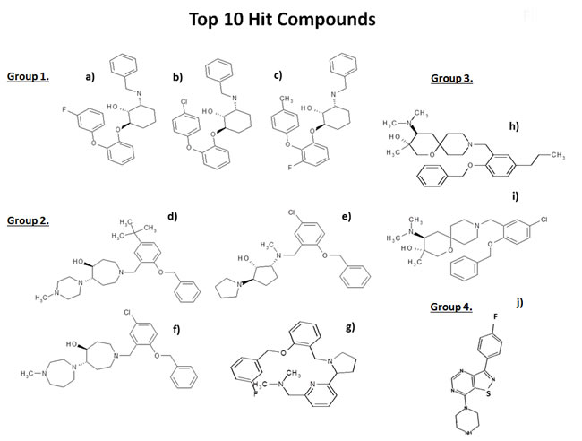 Chemical structures of the top 10 hits.