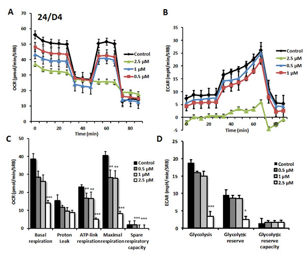 Effects of compound 24/D4 on metabolic activity of MCF7 human breast cancer cells.