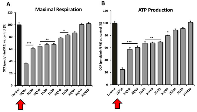 Comparative metabolic flux analysis of the top 10 hit compounds in MCF7 cells.