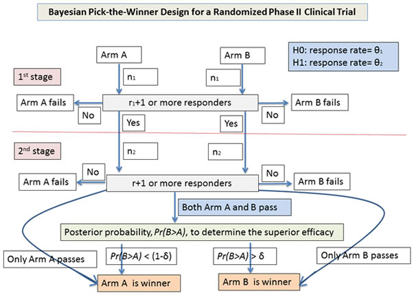 Flow chart of study design for the Bayesian pick-the-winner design in a randomized phase II trial.
