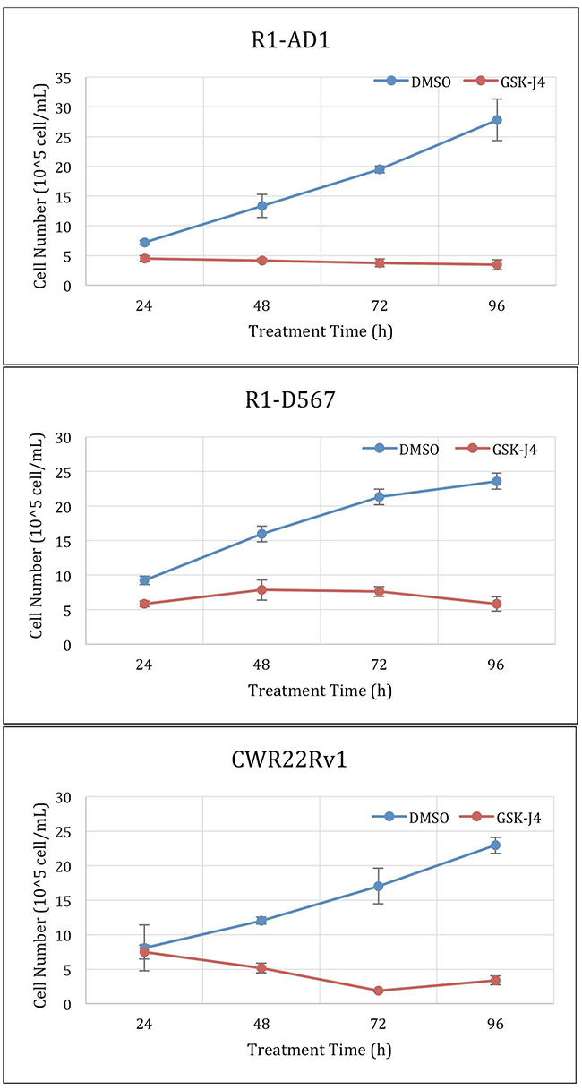 GSK-J4 time course treatment.