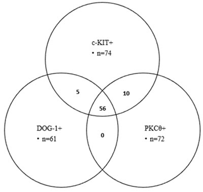 Correlation between c-KIT, DOG-1 and PKC&#x3b8; expression revealed by Venn-diagram.