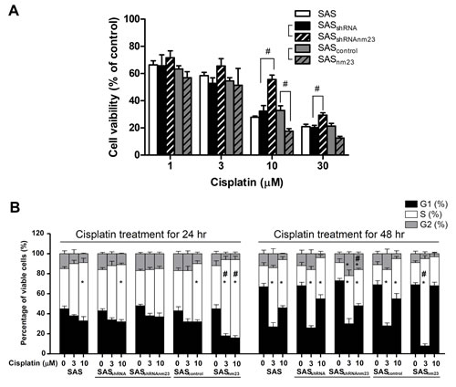 Knockdown of NM23-H1 attenuated the susceptibility of SAS cells to cisplatin and delayed cisplatin-induced S-phase cell accumulation.