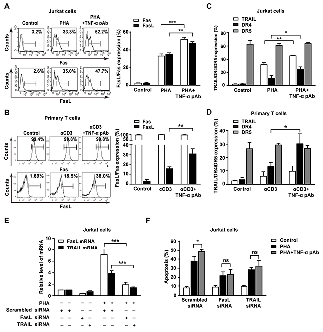 The reverse signaling of tmTNF-&#x03B1; promotes AICD through upregulating FasL/Fas and TRAIL/DR4.