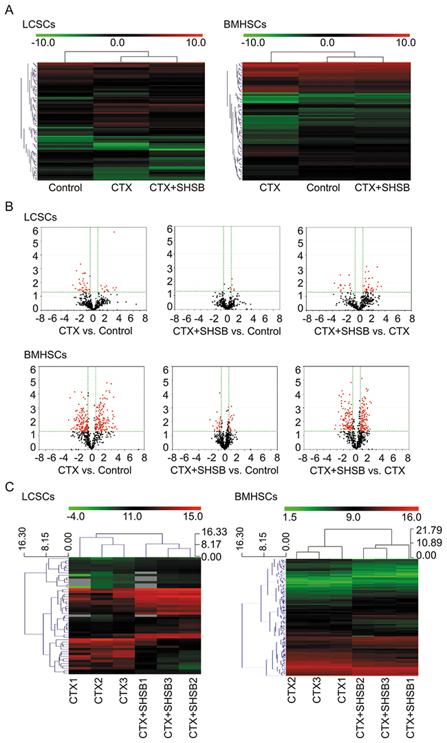 Microarray analysis of microRNAs in LCSCs and BMHSCs.