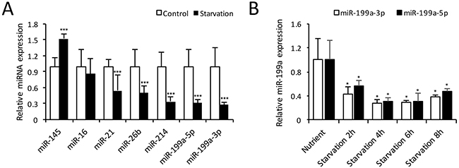 Expression of microRNAs in autophagic CMs.