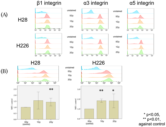 FACS analysis of photon-induced stimulation of expression in cell surface markers.