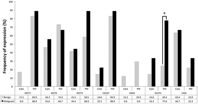 Frequency of expression of the different proteins analyzed in benign and malignant adrenocortical tumors.