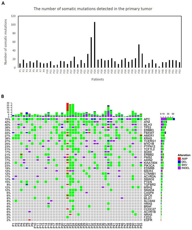 Molecular characterization of 48 primary colorectal tumors.