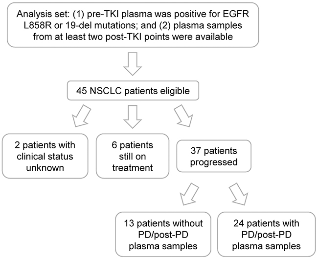 Patient recruitment flow chart.