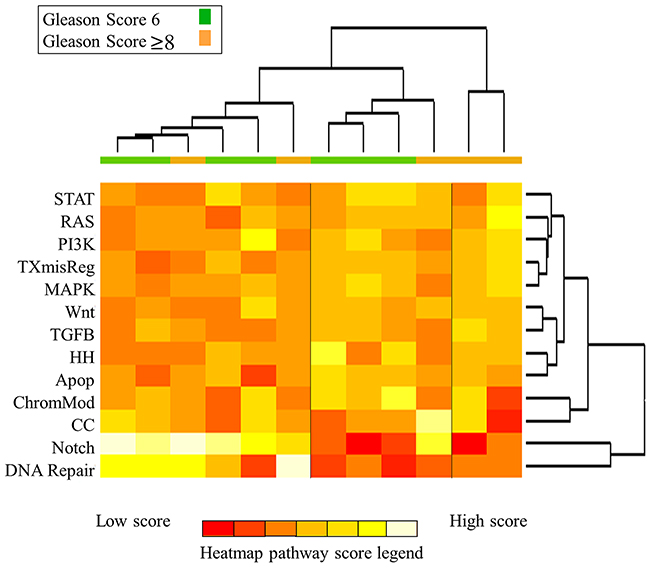Heatmap of pathway scores for all intra-prostatic lesions. Samples are colored according to Gleason score (green, GS 6; orange, GS &ge;8).