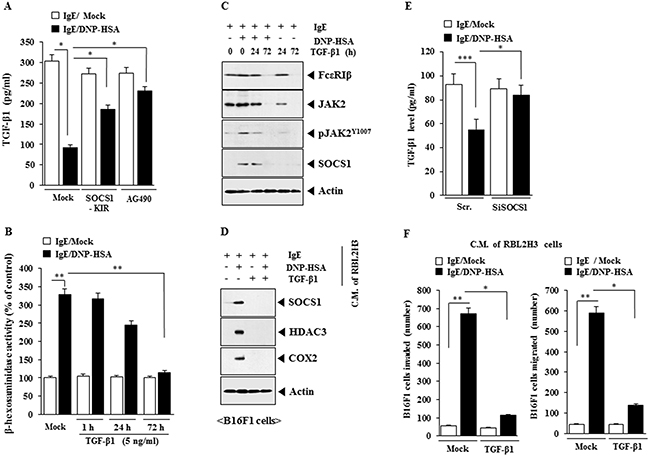 SOCS1 and JAK2 regulate the production of anti-allergic TGF-&#x03B2;1.