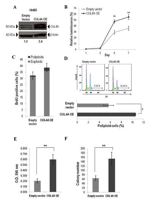 Figure 5: