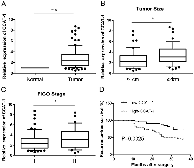 The relative expression of CCAT-1 in cervical cancer tissues.