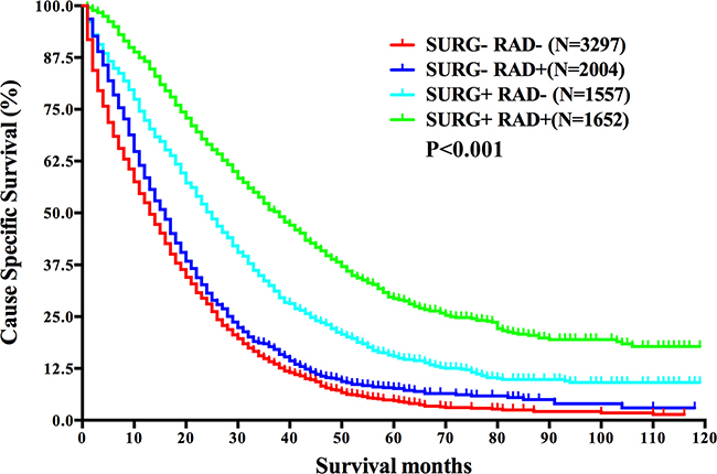 Survival analysis based on the status of both surgery and radiation in mRC.
