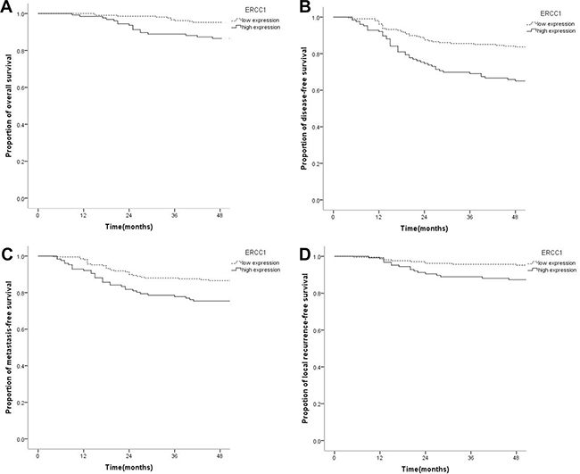 Kaplan-Meier survival curves of nasopharyngeal carcinoma patients with low ERCC1 level and those with high expression.