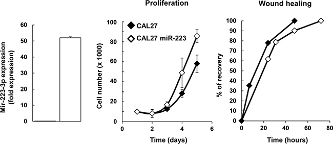 miR-223-3p induced CAL27 proliferation.