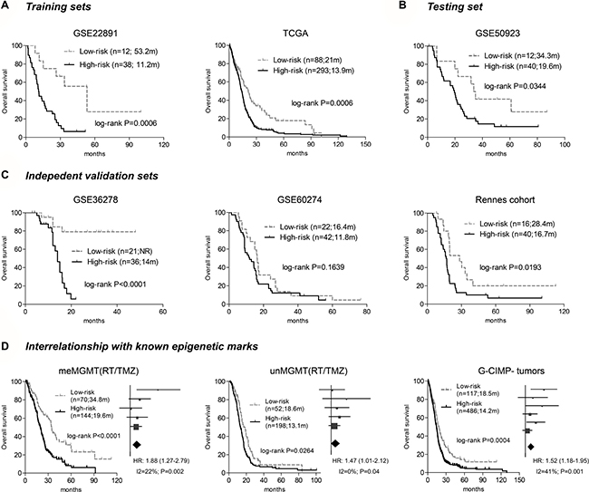 The survival correlation of the three-CpGs signature in each dataset.