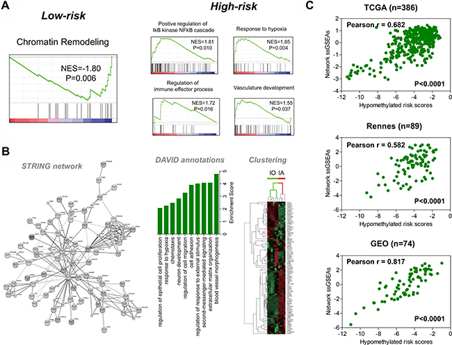 Functional relevance of the hypomethylation signature.