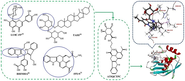 Pharmacophores based design and the active site of MMP-9 based docking of ATIQCTPC.