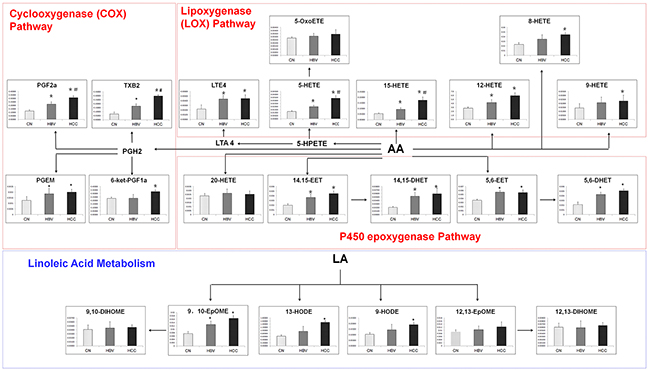 The comparison of levels of metabolites in eicosanoid metabolism pathway.