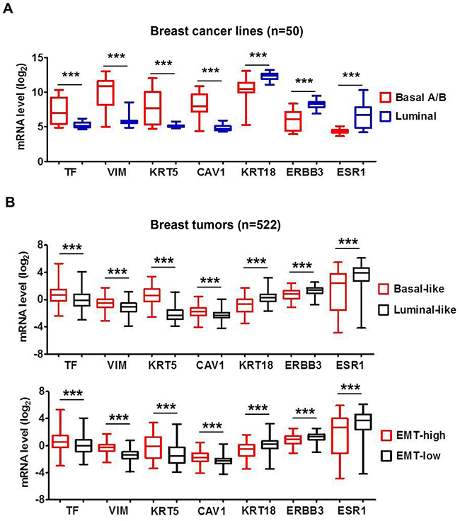 Breast cancer TF mRNA level correlates with &#x201C;Basal-like&#x201D; and &#x201C;EMT-high&#x201D; signature.