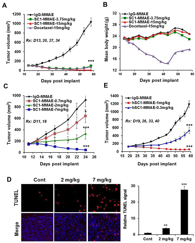 SC1/hSC1-MMAE inhibits TF-expressing TNBC and PaC tumor growth in vivo.