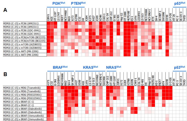 Pair-wise Combinations of MDM2 Inhibitors with PI3K or MAPK Pathway Inhibitors Exhibit Broad and Robust Synergy Across Cell Lines.