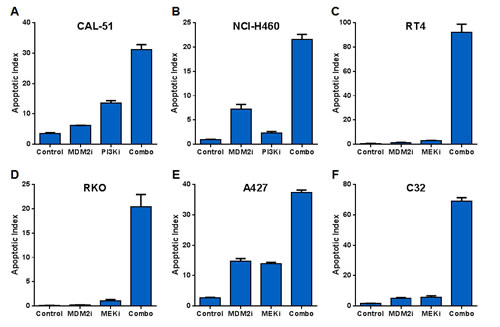 MDM2 Inhibitor Combinations with PI3K and MEK Inhibitors Yield Dramatic Increases in Apoptosis but Small Incremental Reductions in Proliferation.