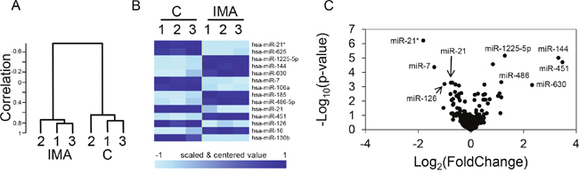 Regulation of miRNA expression by imatinib in K562 cells.