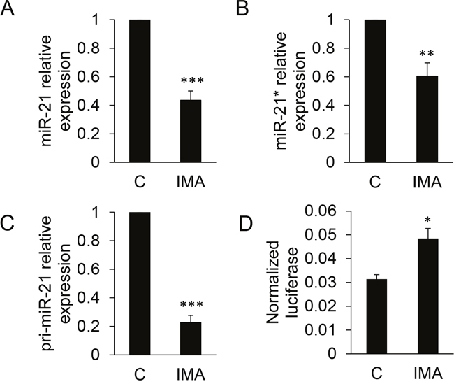 Quantification of miR-21, miR-21* and pri-miR-21 in K562 cells following imatinib treatment.