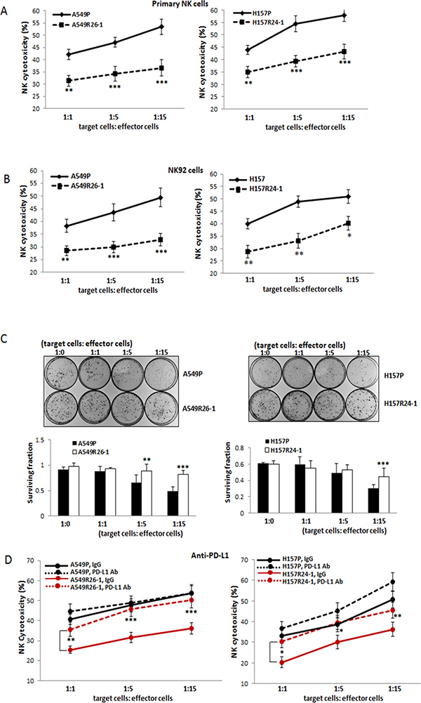 Tests of susceptibilities of radioresistant cells vs. parental cells to NK cell cytotoxicity.