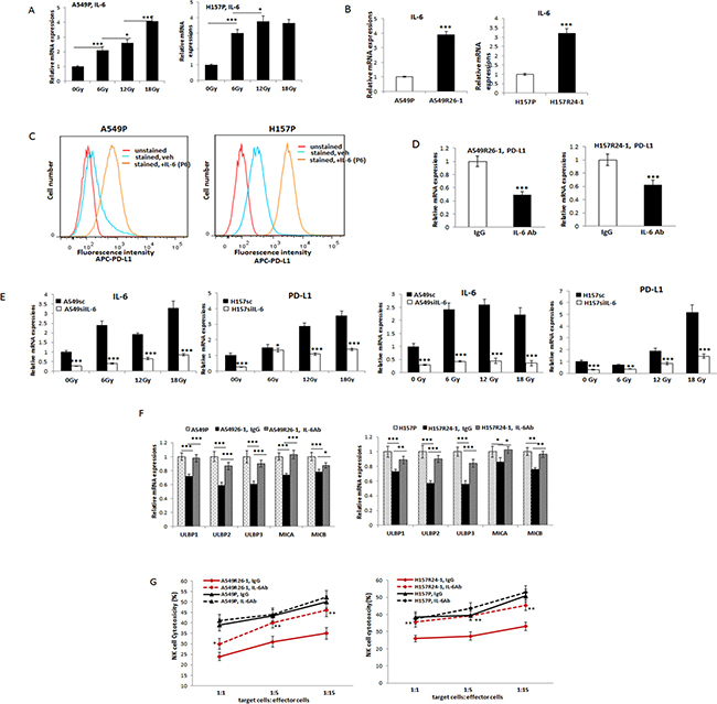 Investigations on the implication of IL-6 signaling in altering PD-L1/NKG2D ligand levels in lung cancer cells and its influence on NK cell cytotoxicity to tumor cells.